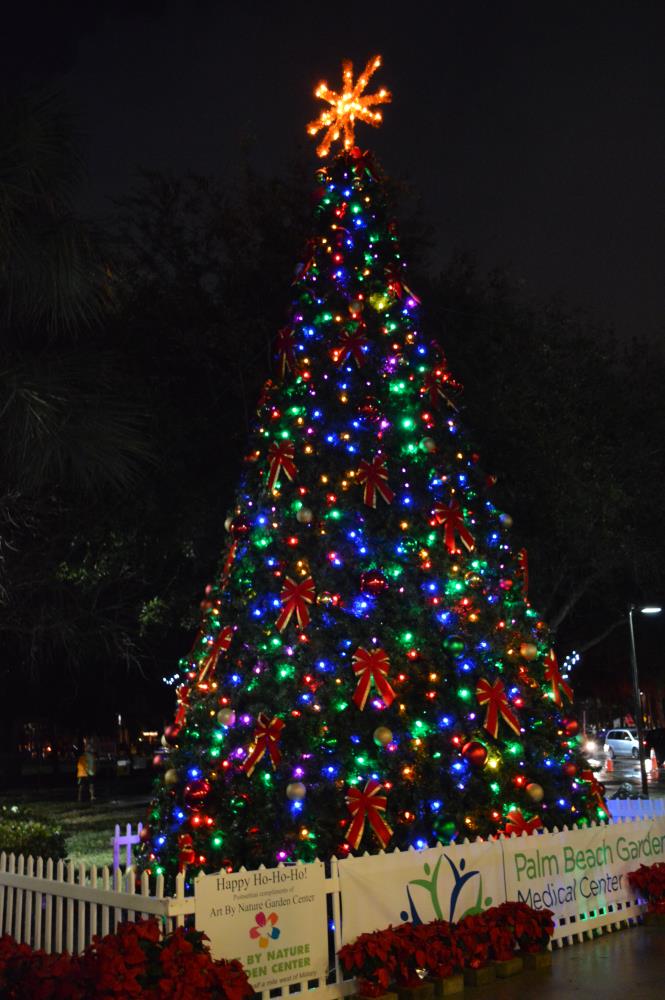 Tree Lighting 2014 42